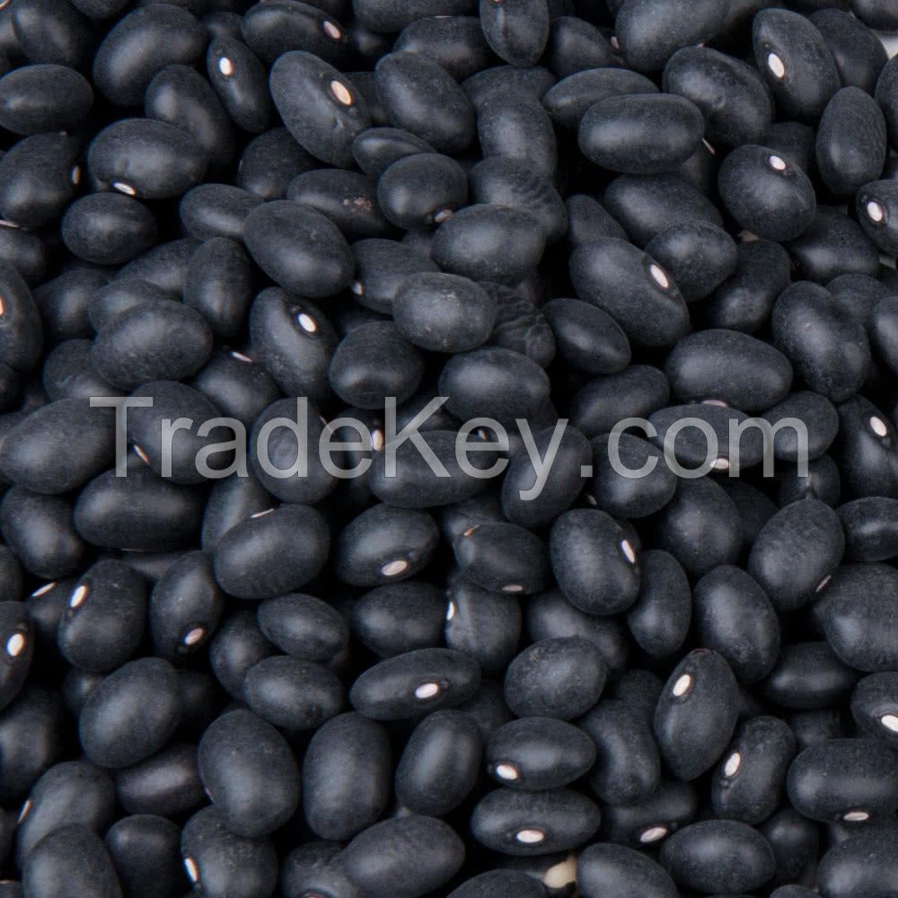 Black Beans