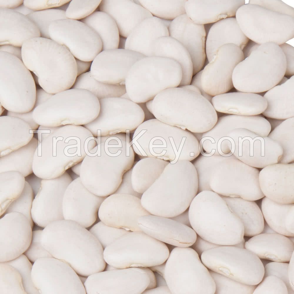 Dry Lima Bean or Butter Bean / Fresh Lima Bean/ Large White Lima Bean