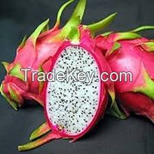 Fresh dragon fruit quality for sale best price