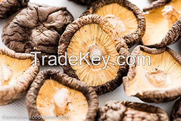 Dry shiitake mushroom