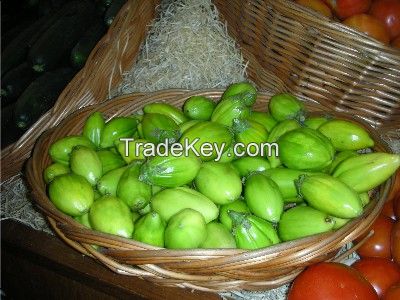 garden egg fruit