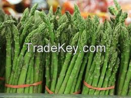 Fresh Asparagus