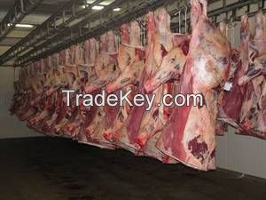 Quality Halal Frozen Boneless Beef Meat For Export