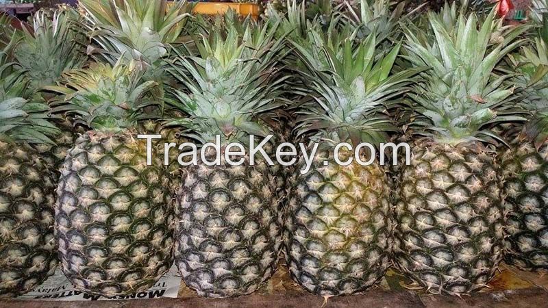 Fresh Pineapples