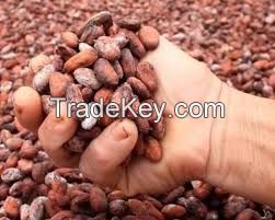 High Grade Cocoa Beans and Cocoa Nibs