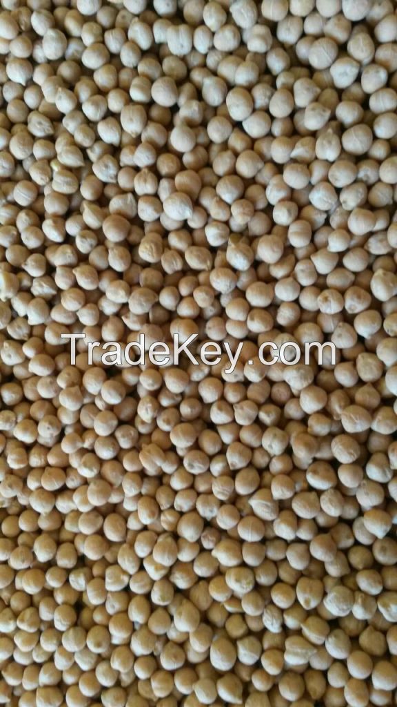 Chickpeas SORTEX