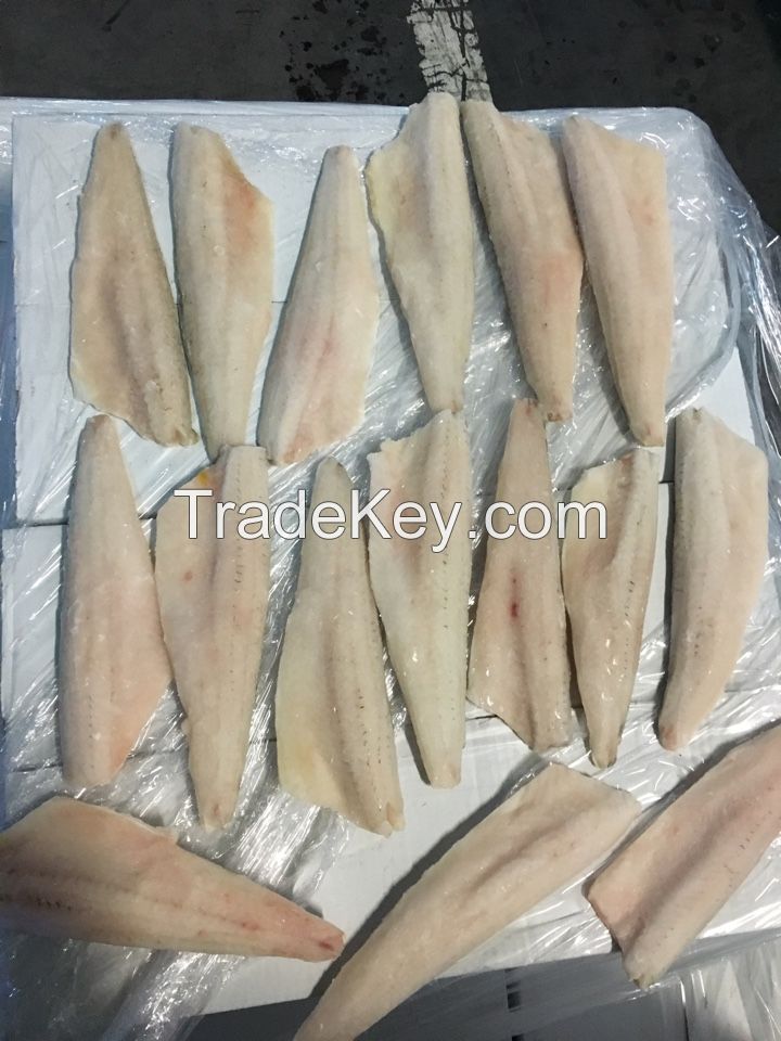 Frozen IQF Pike perch fillets 120-170 1 Grade