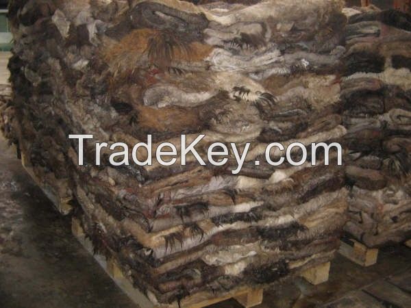 Dry and Wet Salted Donkey/Goat Skin /Wet Salted Cow Hides