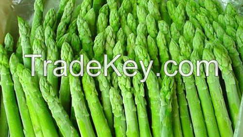 FRESH ASPARAGUS