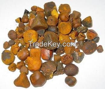 Ox and cow gallstone