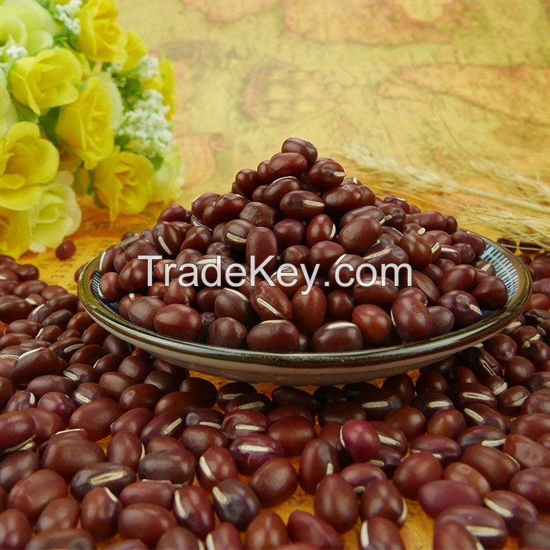 The price of Red cowpea bean Red Vigna bean with nice price wholesale