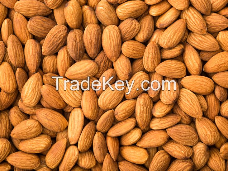 high quality almonds nuts