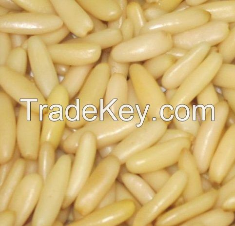 Quality Natural Pine Nut