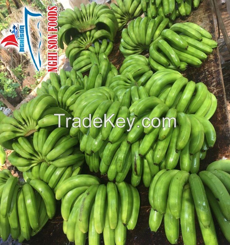 Fresh Cavendish Bananas