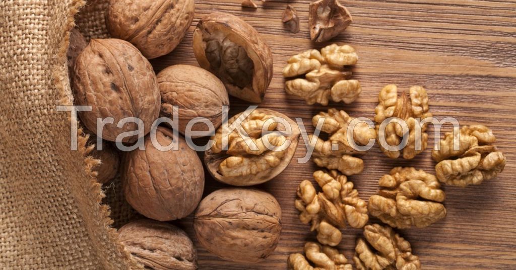 Walnuts Nuts