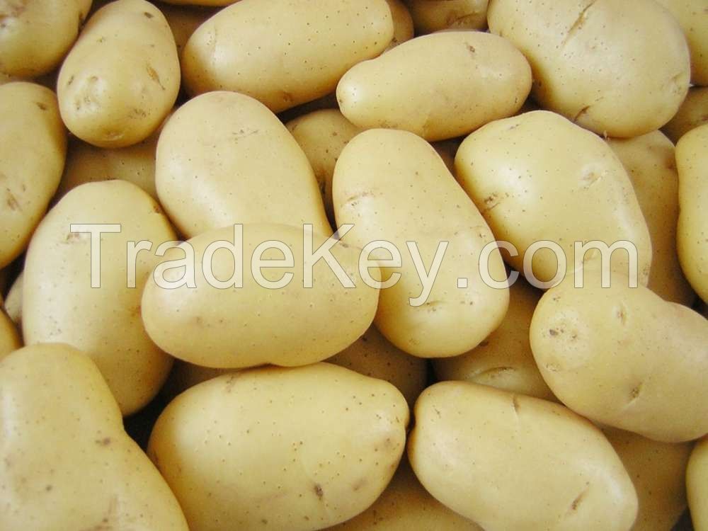 Cheap  Fresh Potatoes