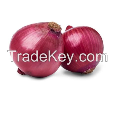 Red Onion