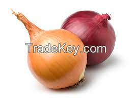 Onions