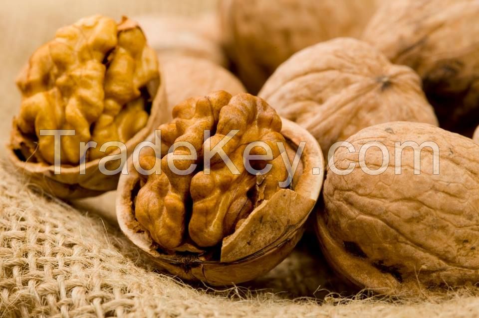 buy Walnuts