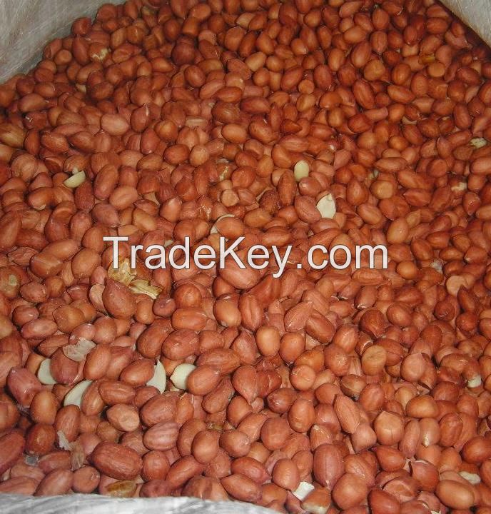 Peanuts, pea nut, Raw Ground nuts, java nuts, Pistachios, pine nuts, pecan nuts, Hazel nuts, Cashew Nuts, Cashews, 