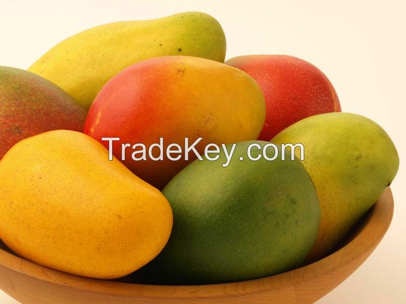 Mangoes, Pears, Kiwi, Guavas, Grapes, Durian, Dragon fruits, Olives, banana, Papaya, avocado, oranges, apples, Lemon, Oranges, Limes, Citrus, pineapples, Cherries, Berries, Peaches Apricots, Plums, 