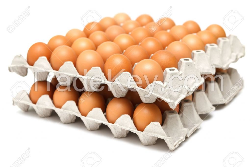 Extra large Table eggs, Fresh chicken eggs, Brown Shells Chicken Fresh Table Eggs, white, hen, fowl, cock, omellete, Fertile hatching eggs, Chickens, frozen chicken