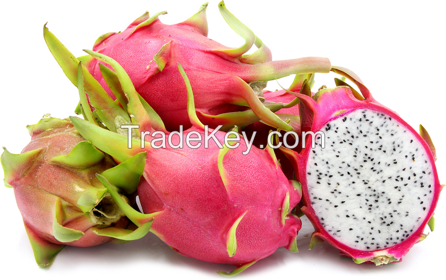 Organic Dragon fruits, Durian, Olives, Guavas, banana, Papaya, avocado, oranges, apples, grapes, mangoes, Lemon, Oranges, Limes, Citrus, pineapples, Cherries, Berries, Peaches Apricots, Plums, 