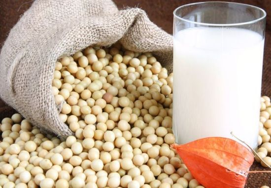 Soya Milk Powder / Organic Soya Milk Powder/Organic Soybean Milk Powder for sale