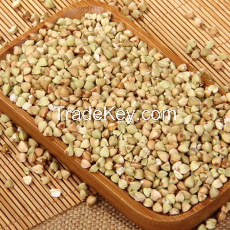 best quality sweet buckwheat with best price