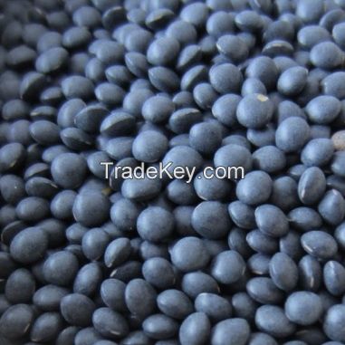 Beluga Black Lentil