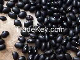 Black Beans Dried Kidney Beans Pulses