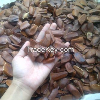 Mahogany Seeds/Mahony Seeds