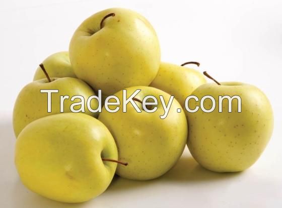 Hot Sale High Quality Golden Delicious Apple