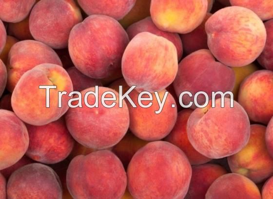 Premium Quality Fresh Peaches for Sale