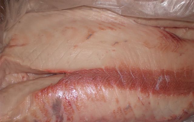 Escolar fillets