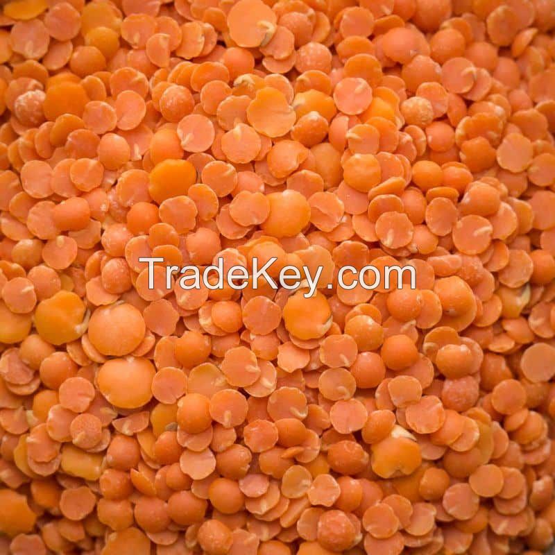 Red Lentils  .