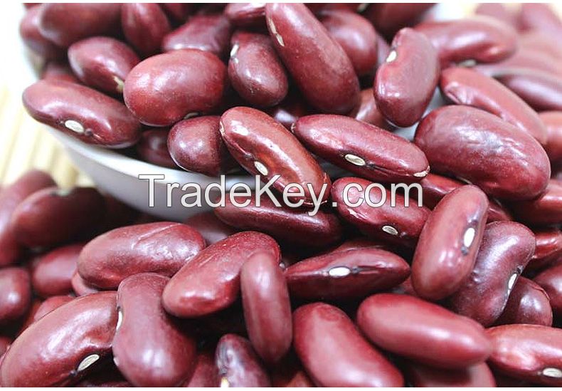 vigna bean