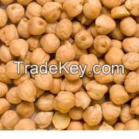 Quality Kabuli Chickpeas