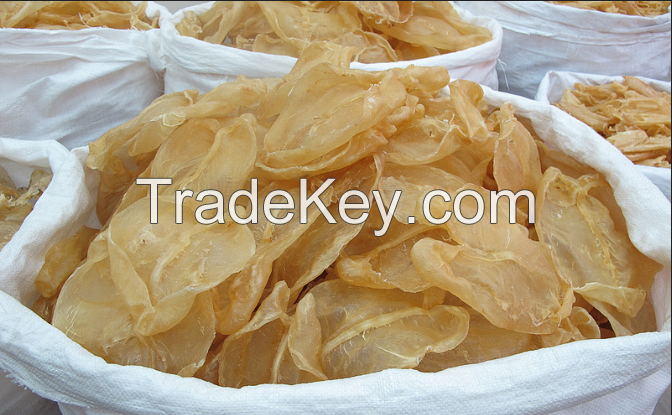 Fish Maw/ Fish Bladder from Pangasius Fish