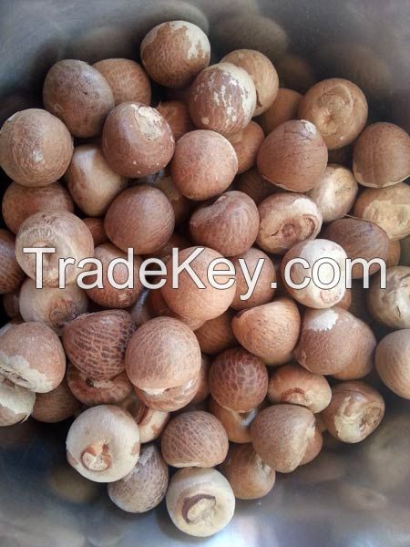 High Quality Whole & Split Betel Nut