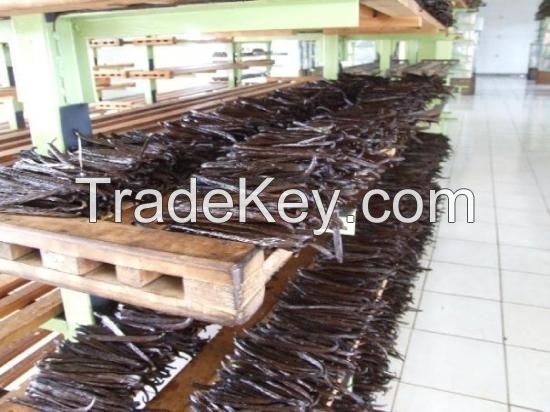 Vanilla Beans Exporter