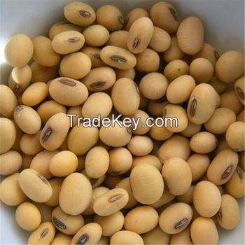 SOYA BEANS GRADE # 1