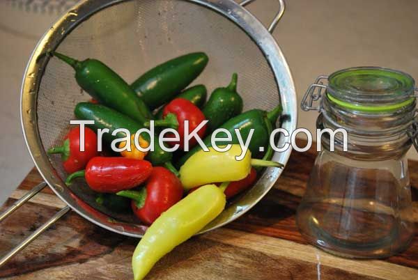 CHEAP RED, YELLOW AND GREEN CHILLI: DRIED, FROZEN, FRESH, POWDER, PICKLE