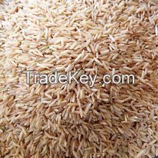 SWARNA NON BASMATI / BROWN RICE / INDIAN BASMATI RICE