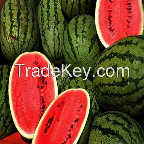 Watermelon For Sale