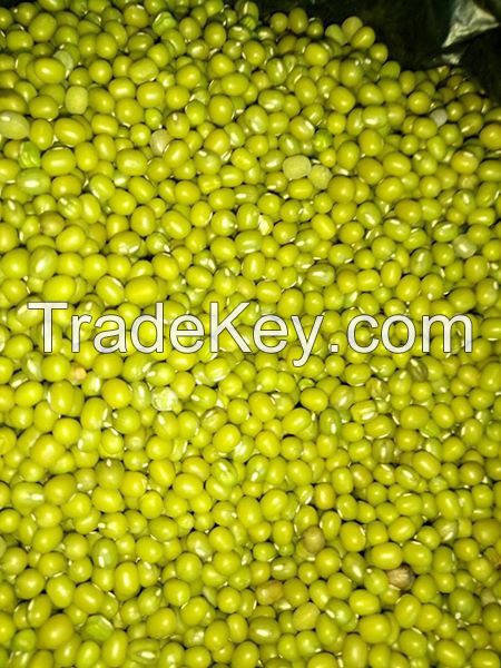 Vigna Beans/ Organic Mung Beans for sale