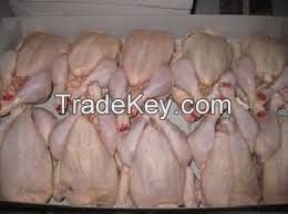 SA A GRADE HALAL FROZEN WHOLE CHICKEN READY FOR EXPORT.