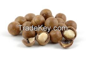 2018 High Quality Organic world-class macademia nuts for sale with ISO certificate