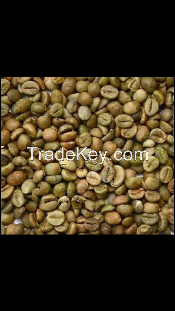 BARLEY GRAINS AT BEST PRICES