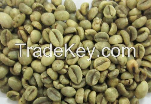 ROBUSTA COFFEE FROM VIETNAM R1/SCREEN 16